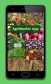 AgriMarket Apps